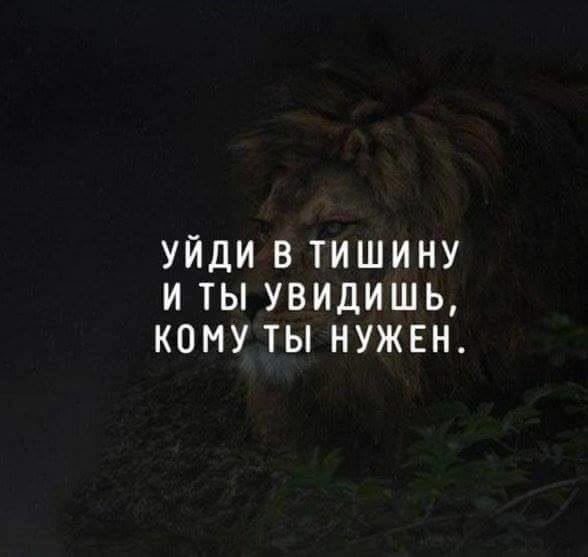 .Life.Is.Life. - 28 ������ 2016 � 16:16