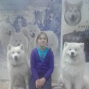 ���� �������, ���������� - ��������� 1 ������ 2017 � ������ ���������� ������