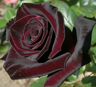  ! - 16  2016  01:11 - 3