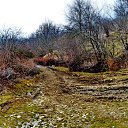  ,  -  15  2017              70     ӻ