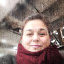 ���� ����, �����-��������� - ��������� 24 ������� 2017 � ������ ���� ����������