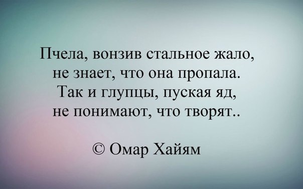   -  ,  -  - 20  2016  07:13