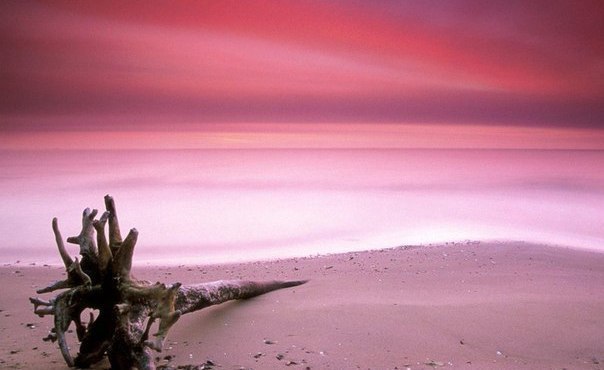   x c  p: Pink Sands Beach, c po, e ocpo.  ,  ... - 2