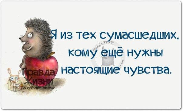   - 22  2016  03:33