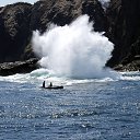 ���� ������, �����������, 50 ��� - ��������� 23 ������ 2017