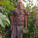  , -, 68  -  20  2016   