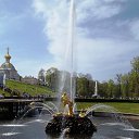 ���� Ը���, ������� - ��������� 9 ������� 2017 � ������ ������ ��������