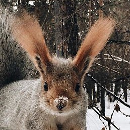 ������, ������ �����, 45 ���