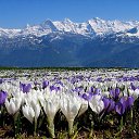 ���� Aleksandr, ������, 62 ���� - ��������� 3 ������� 2017 � ������ ���� ����������