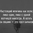 ���� Kriss, ���� - ��������� 5 ������� 2016 � ������ ������ ��������