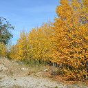 ���� �������, ��������, 53 ���� - ��������� 17 �������� 2016 � ������ �������� ��� .�