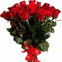 ���� ������, �����������-��-�����, 49 ��� - ��������� 6 ������� 2016 � ������ ���� ����������