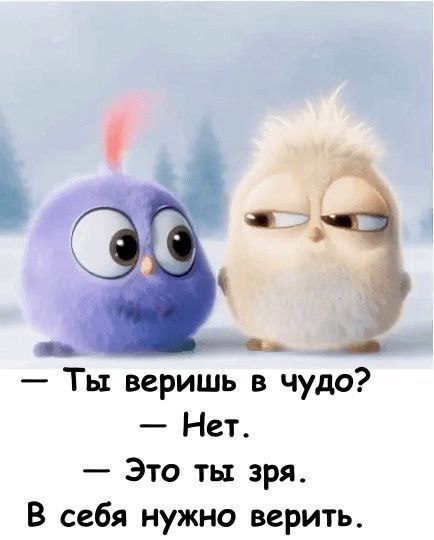   -  ,  -  - 20  2016  14:59
