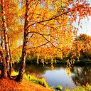 ���� ������, ������, 59 ��� - ��������� 17 ������ 2017 � ������ ���� ����������