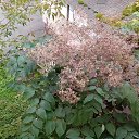 ���� ����, ���������, 67 ��� - ��������� 8 ������ 2016 � ������ ���� ����������