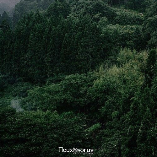    wi-fi,   ,    . - 5