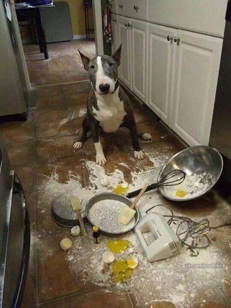 � � ����� ��� ���� �������
