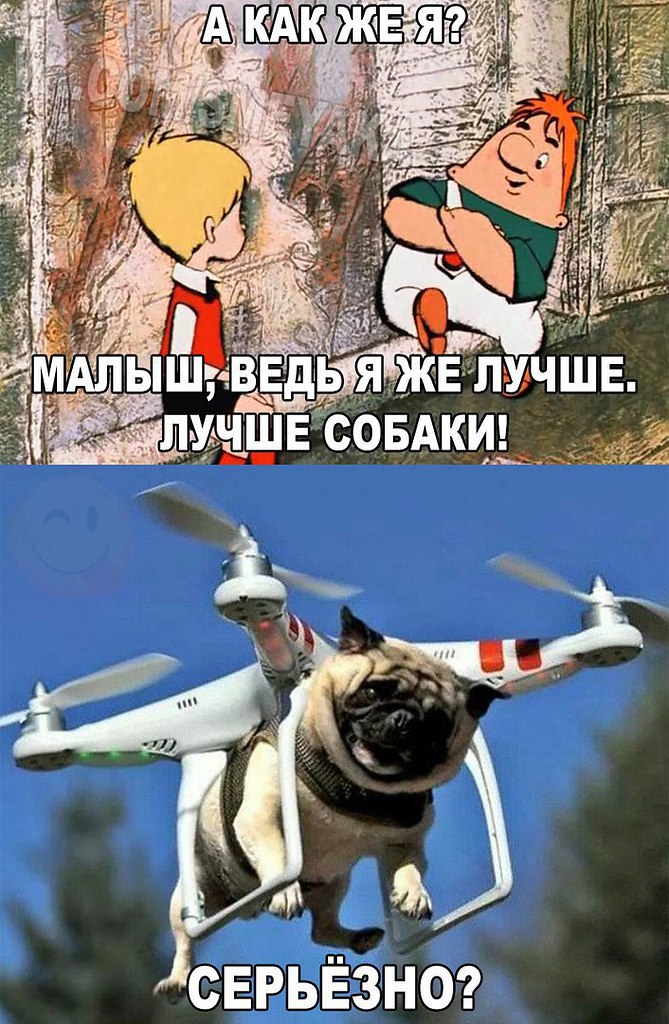    :D - 19  2016  16:35