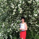 ���� �������, ������������, 56 ��� - ��������� 1 ������� 2017 � ������ ���� ����������