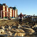 ���� ������, ������ - ��������� 10 �������� 2016 � ������ �Untitled Album�