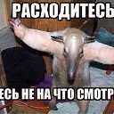  ,  -  18  2017    