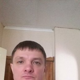 ���� ����, ��������� - ��������� 26 ������ 2017