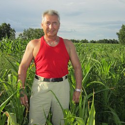 ������, ����, 64 ����