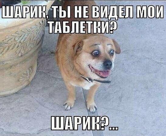    - 6  2017  07:10