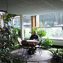  Darius, , 46  -  24  2016    