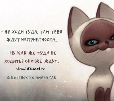  ,  .© - 10  2016  20:53