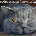  ,  -  22  2016    