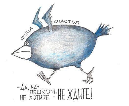  ( ) - 27  2016  10:44