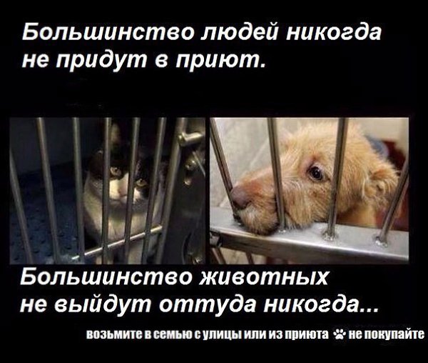 ВОТ И ЗАКОНЧИЛИСЬ ПPAЗДНИКИ. ЧУДА НЕ СЛУЧИЛОСЬ(( А МЫ ТАК ЖДАЛИ. Почему про нас забыли?(( почему ... - 4