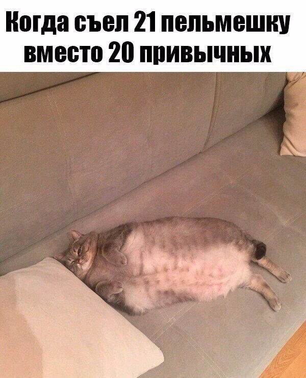    - 19  2016  13:40