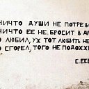 ���� �������, ���������� ����� - ��������� 24 ������ 2017 � ������ ���� ����������