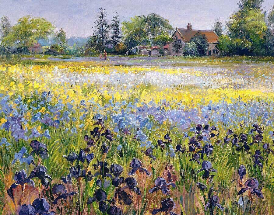 Timothy Easton