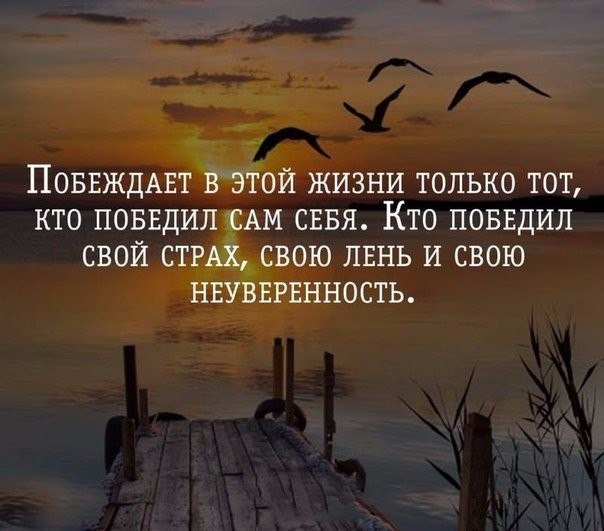 ������ - 28 ������� 2016 � 07:34