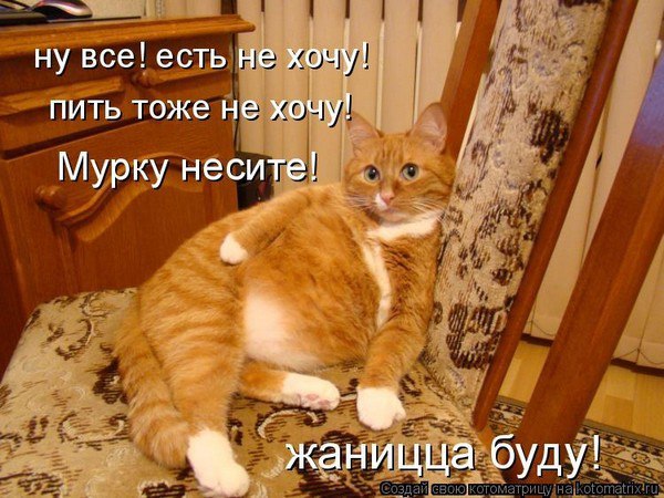   - 10  2016  15:44