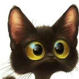 �������, �����, 48 ���