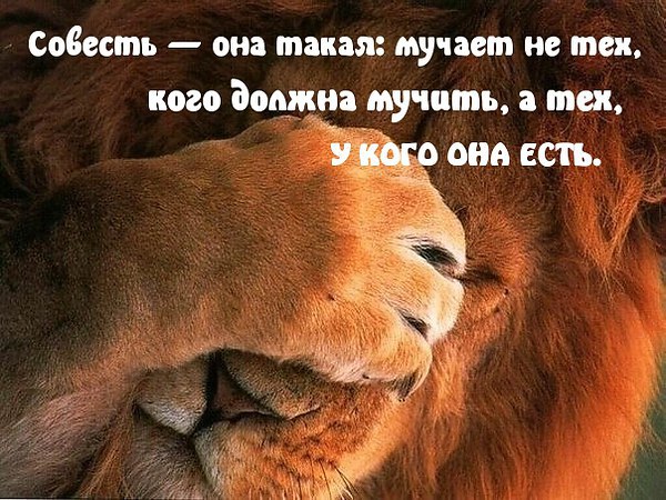 ������ Www - 5 ������� 2016 � 16:59