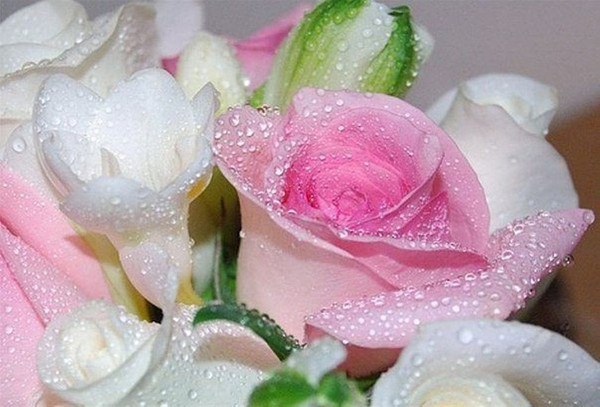  ... http://bestgif.su/_ph/5/2/238857754.gif?1478879035 ...