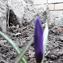 ���� Valentina, ��������������, 60 ��� - ��������� 15 ����� 2017 � ������ ���� ����������