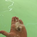 ���� ����, �����-��������� - ��������� 25 ����� 2017 � ������ ���� ����������