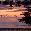 ���� ���, �����-��������� - ��������� 3 ������� 2016 � ������ ���������� ������