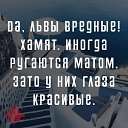  , , 53  -  24  2017    