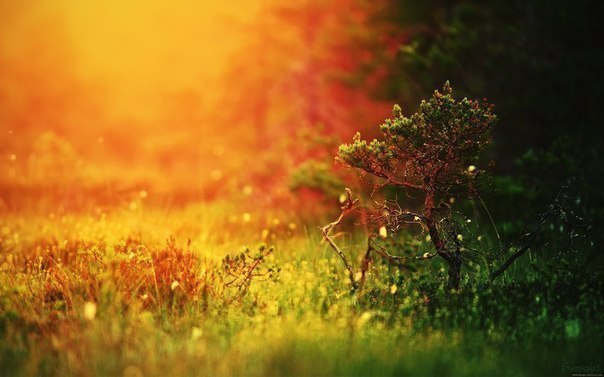 �� ������� �������� ���, ��� �� �������� �������� ���. ��� ���� ����� ����� �� ������, ��� ������� ...