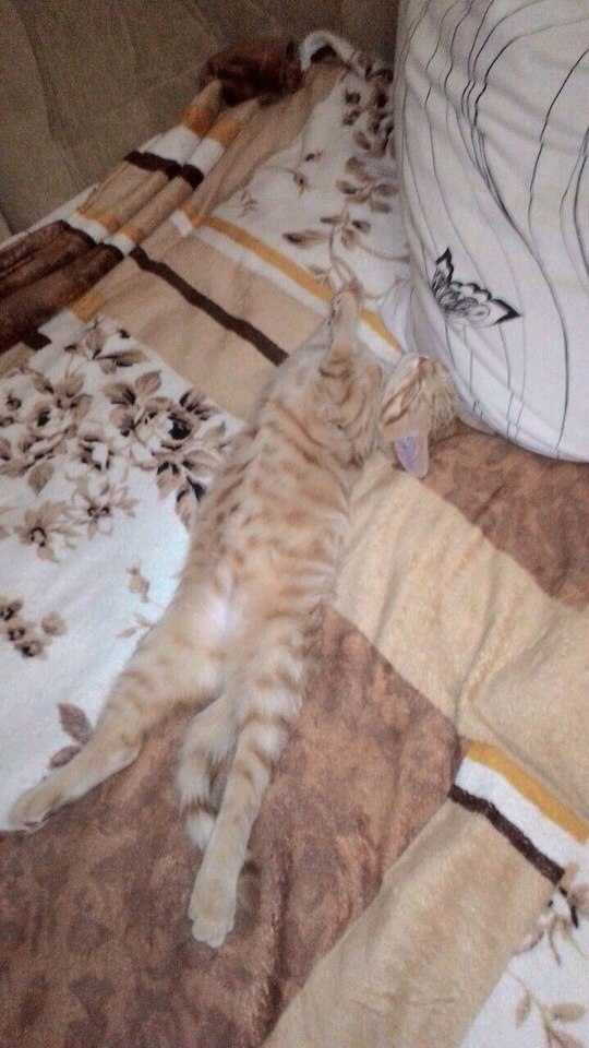 #_.  :       ,  ... - 7