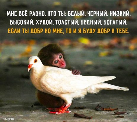 ***Victoria Viktorovna*** - 19  2016  15:03