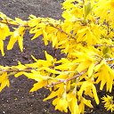 ���� �������, ������� - ��������� 5 ������ 2017 � ������ ������ 2017�