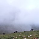  , , 58  -  25  2017    